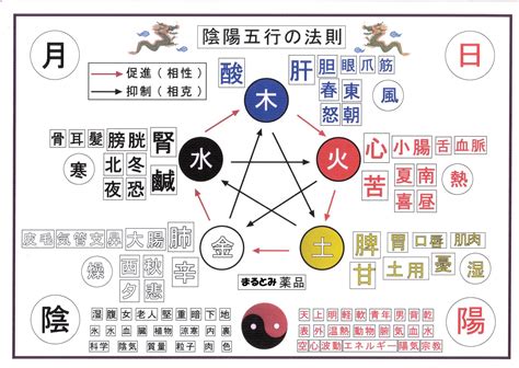 五行目|【2024年版】「五行説」とは？ 起源や5つの元素から。